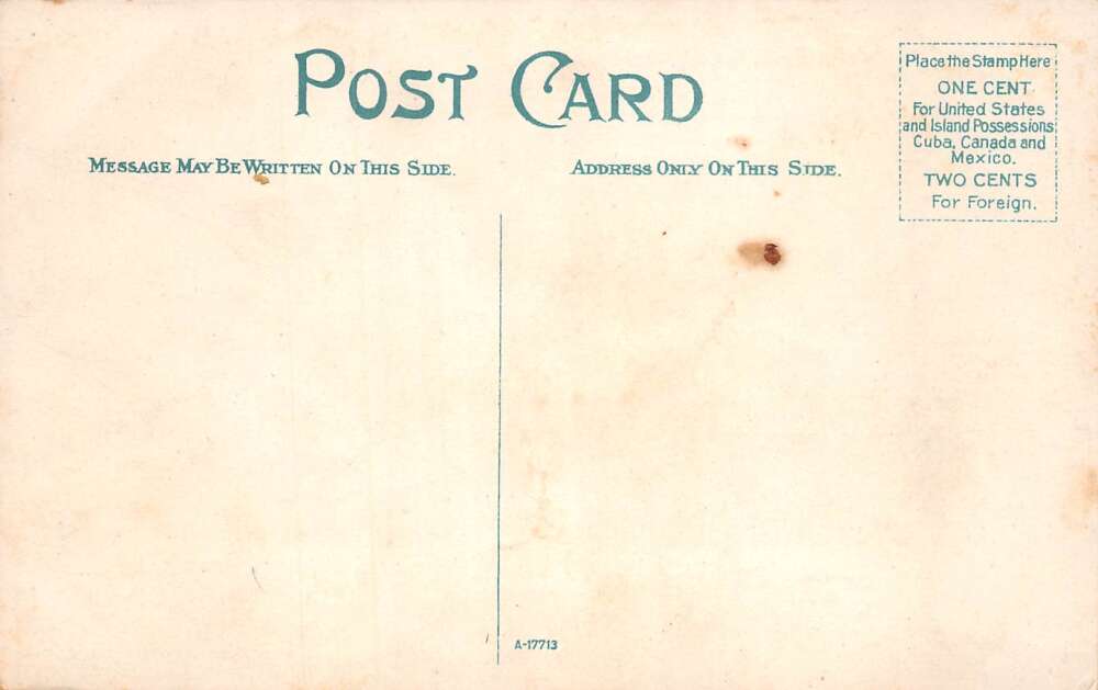 Houston Texas Breaking Ground for Rice Farming Vintage Postcard AA78444 - Image 2