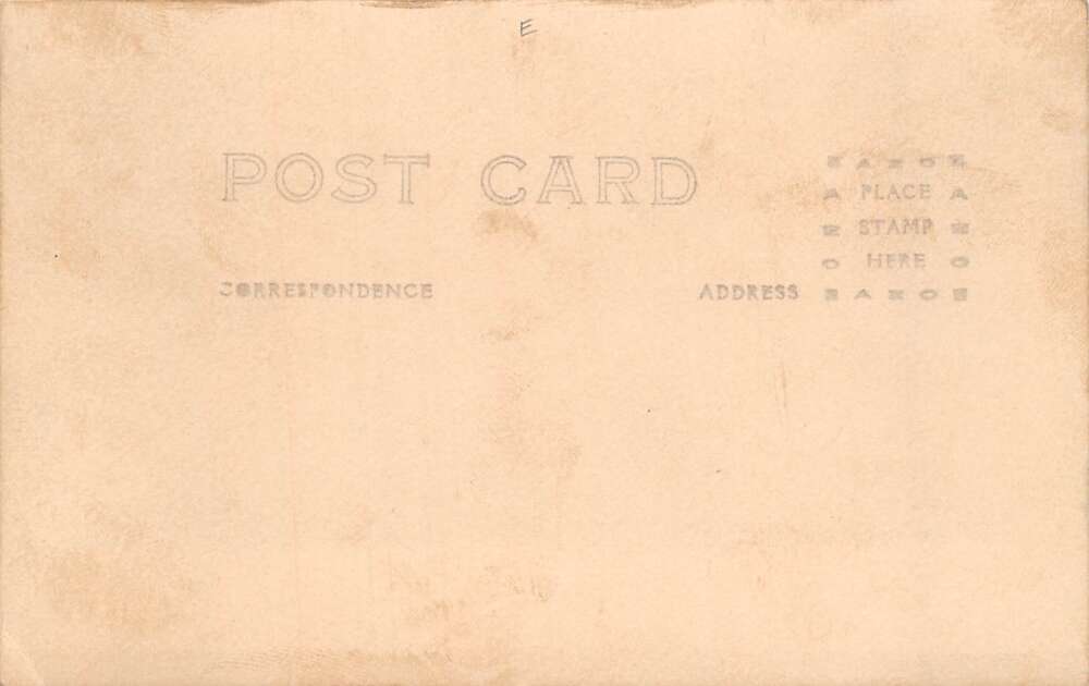 Petaluma California Must Hatch Incubator Electric Hatchery Real Photo PC AA78500 - Image 2