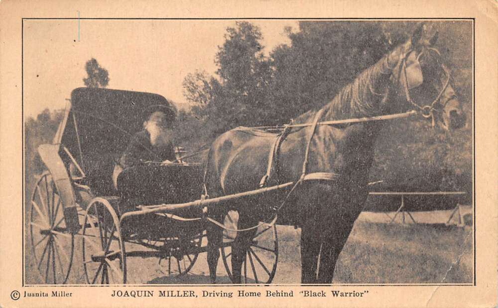 Joaquin Miller Author Black Water Horse Carriage Vintage Postcard AA78613