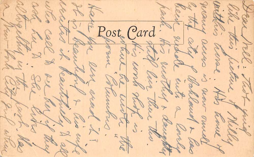 Joaquin Miller Author Black Water Horse Carriage Vintage Postcard AA78613 - Image 2