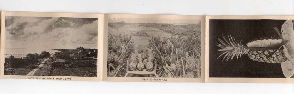 St Augustine Florida Trap Door Fold out Hotels and Views Postcard AA78893 - Image 5