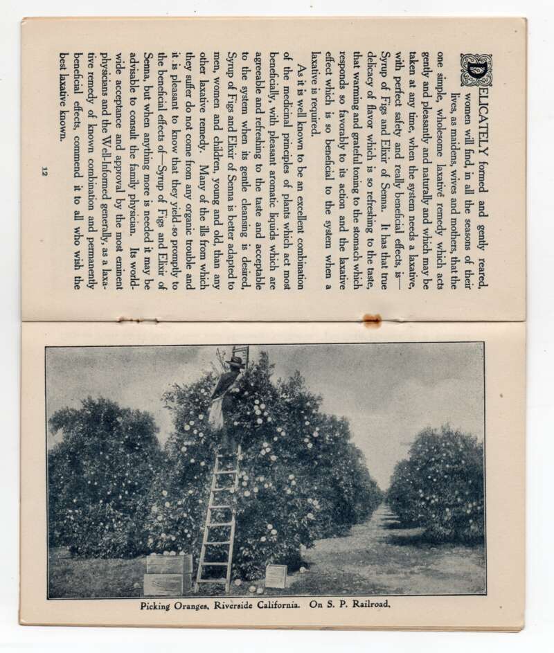 Yosemite Valley California Fig Syrup Ad Travel Illustrated Booklet AA78894 - Image 5