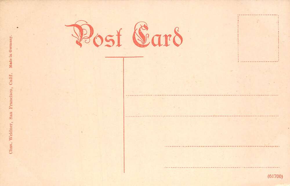 Mt Tamalpais California Porch at Tavern Vintage Postcard AA79056 - Image 2