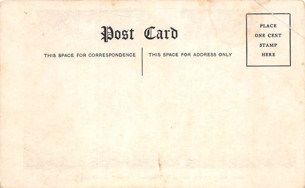 Hammock Florida Young Grapefruit Orchard Vintage Postcard AA79111 - Image 2