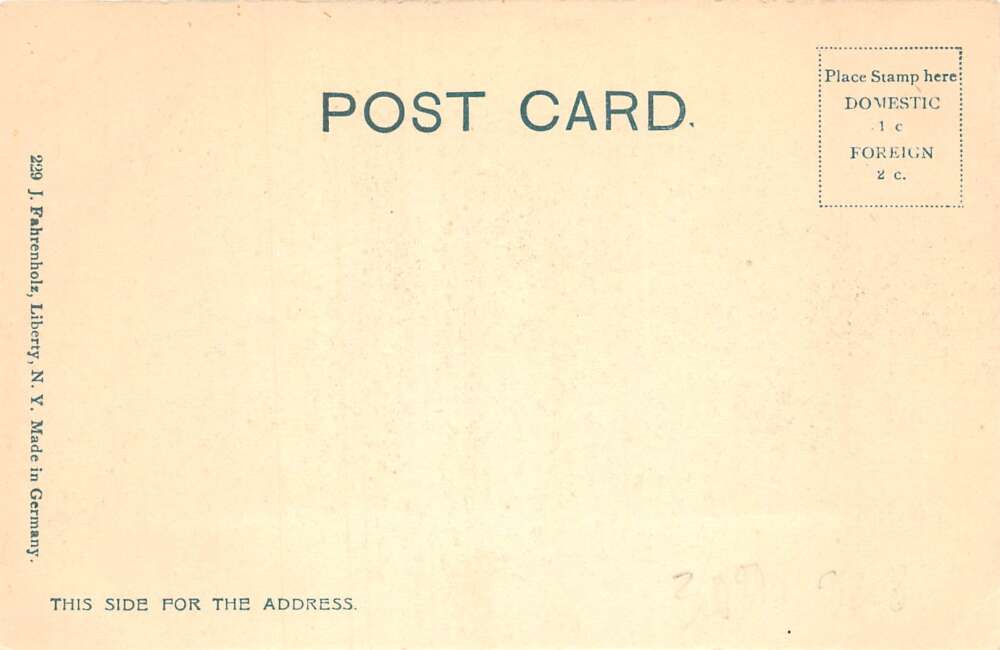 Libterty New York National Bank Vintage Postcard AA79219 - Image 2