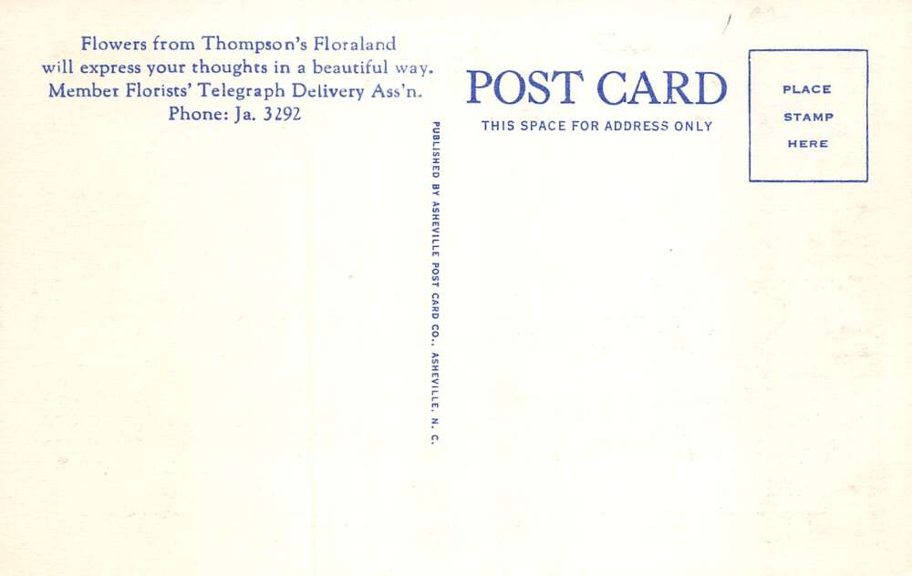 Atlanta Georgia Thompsons Floraland Perennial Tropical Gardens Postcard AA80069 - Image 2