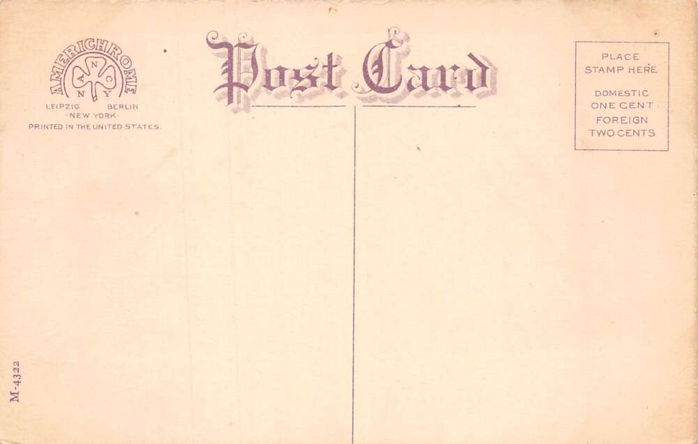 Mount Vernon Virginia Steamer Charles Macalester Vintage Postcard AA80282 - Image 2