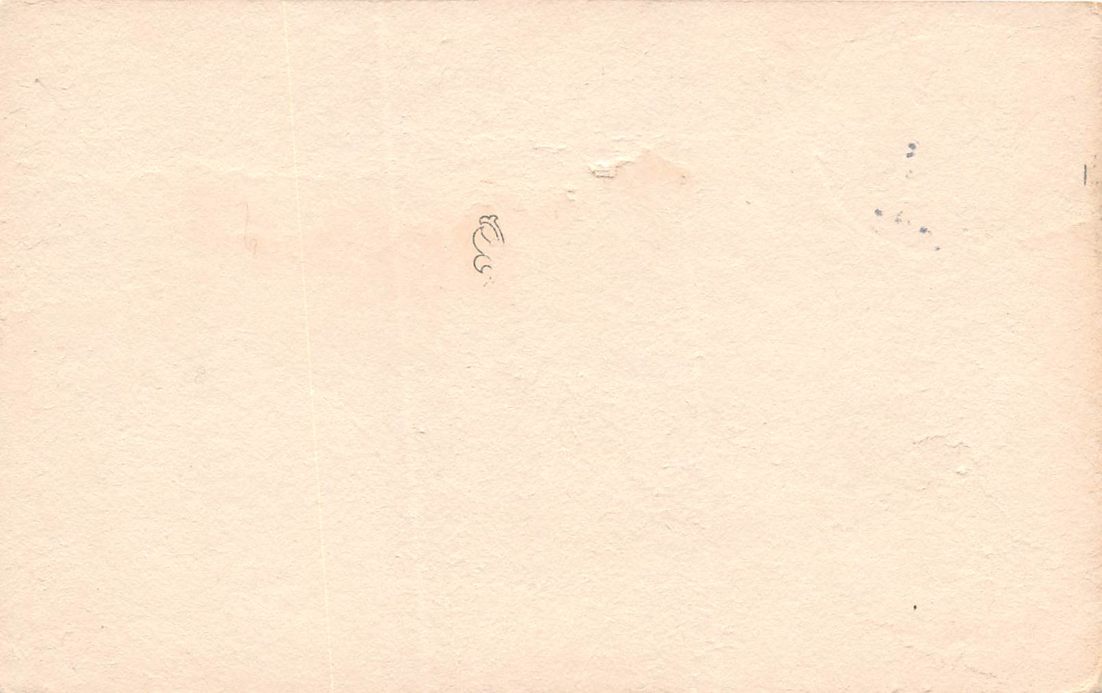 St. Helena California Tallest Palm In Northern California, Vintage PC U16609 - Image 2