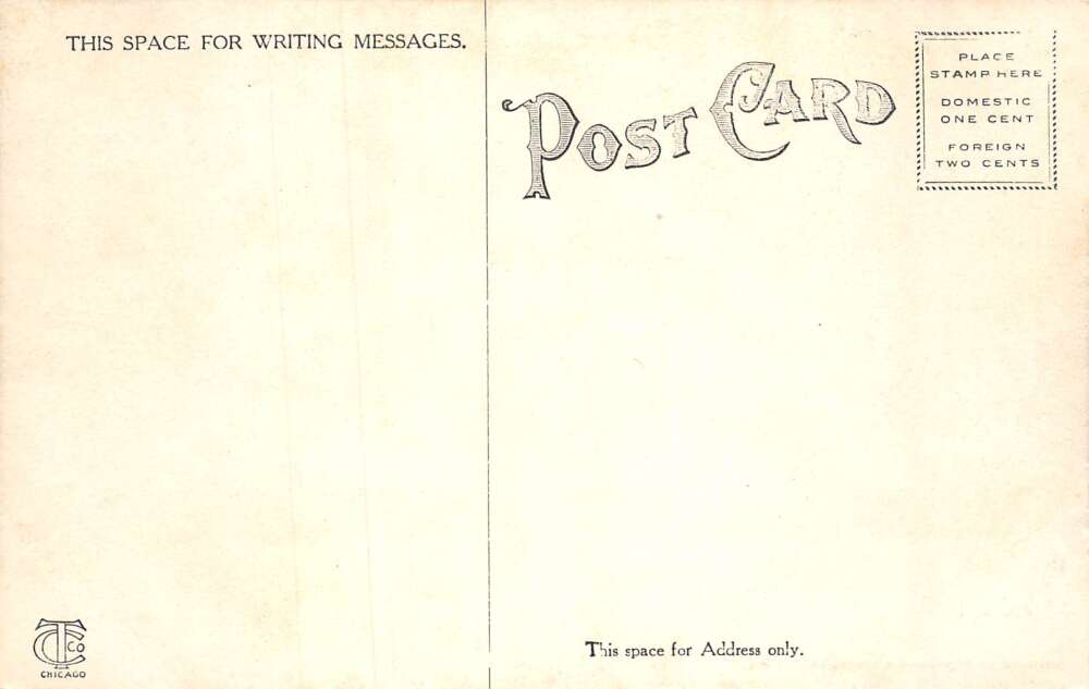 Tonica Illinois Bailey's Falls Scenic View Vintage Postcard AA80348 - Image 2