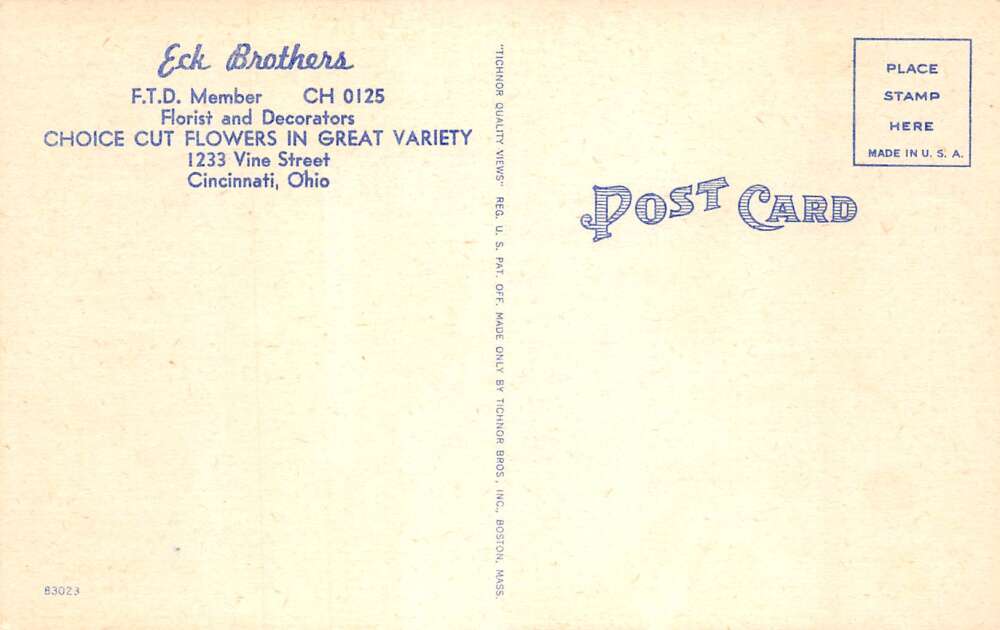 Cincinnati Ohio Eck Brothers Florist Flower Shop Vintage Postcard AA80399 - Image 2