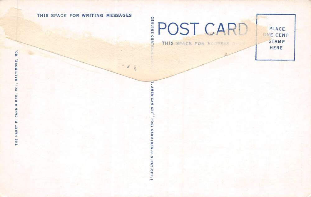 Cape Charles Virginia Foot Path To Blood Field, White Border Vintage PC U16848 - Image 2