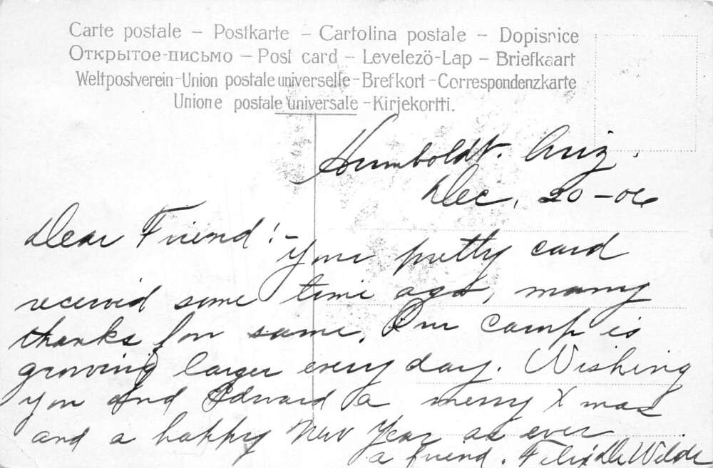 Humboldt Arizona Greetings Roses Glitter Vintage Postcard AA107326 - Image 2