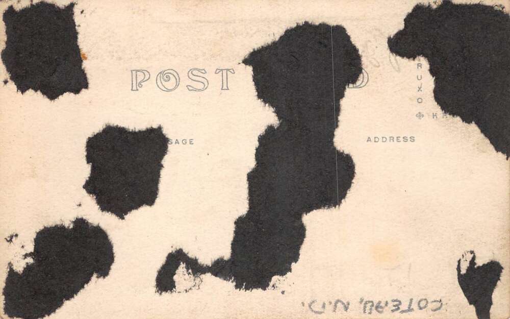 Coteau North Dakota Farm Ranch Barn Real Photo Vintage Postcard A107701 - Image 2