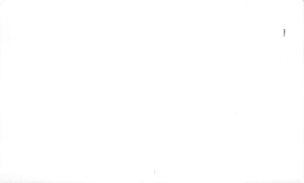 Buhl Idaho Russell Bros Circus Pasha Cub Lion Real Photo Non PC A107734 - Image 2