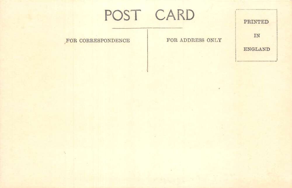 St Helena Longwood Avenue to Napoleons House Real Photo Postcard A107754 - Image 2