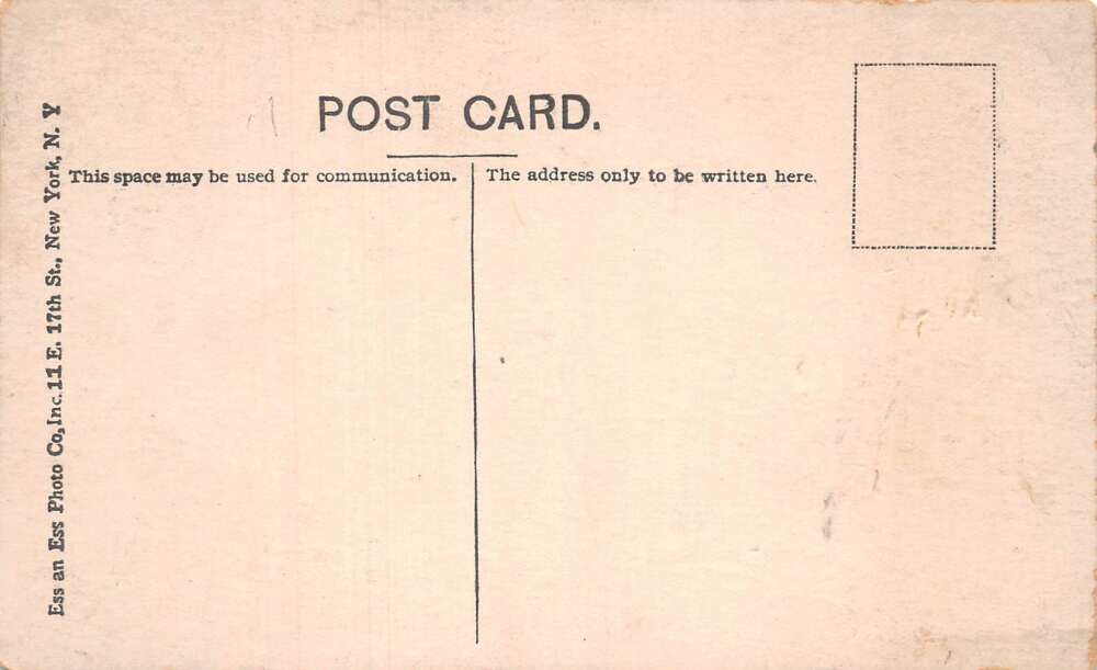 Terra Alta West Virginia YMCA Hotel Vintage Postcard A107764 - Image 2