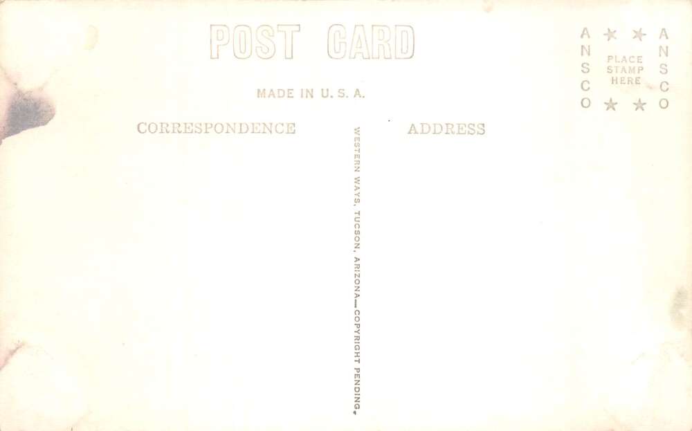 Mt Lemmon Arizona Sawmill Sawing Ponderosa Pine Real Photo Postcard A107774 - Image 2