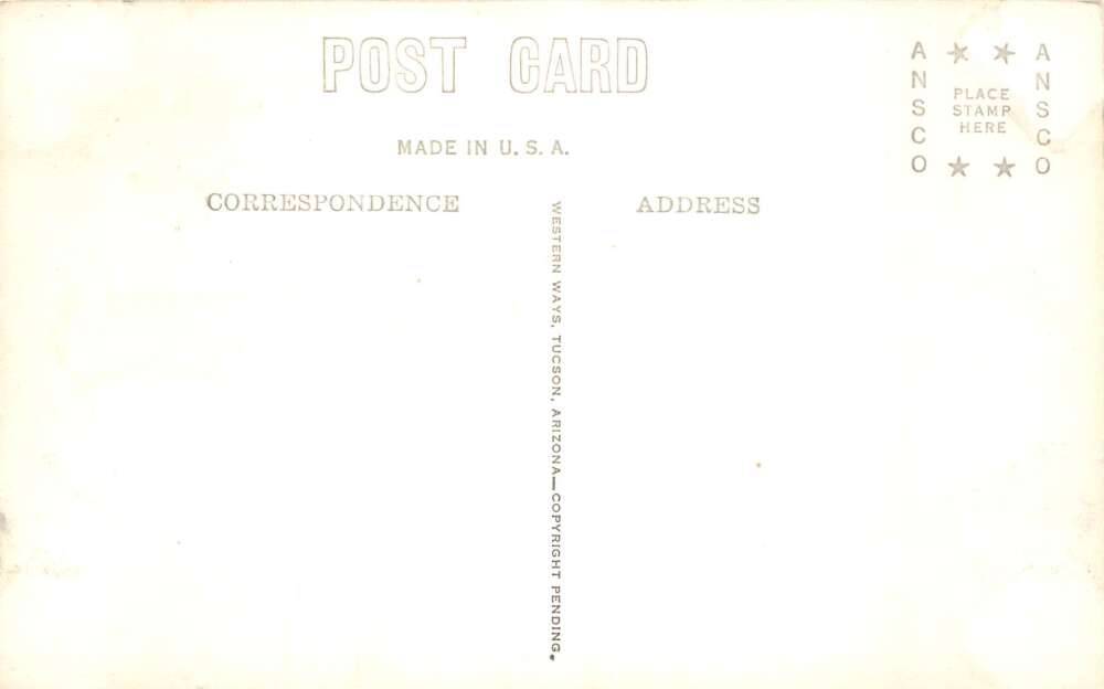 Mt Lemmon Arizona Sawmill Horse and Lumber Real Photo Postcard A107776 - Image 2