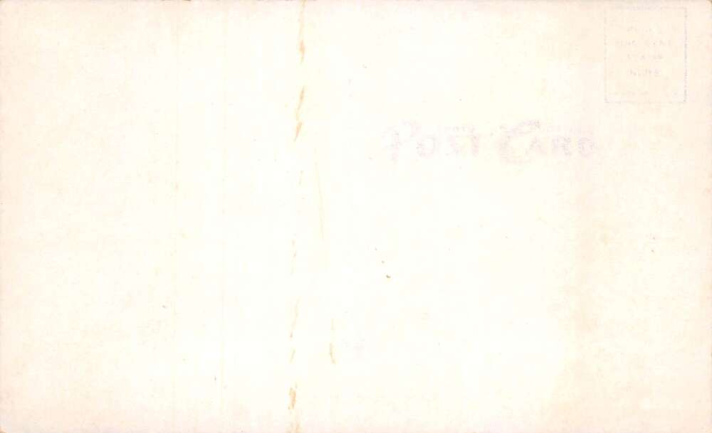 Orlando Florida Hotel Wyoming, B/W Photo Print Vintage Postcard U11669 - Image 2