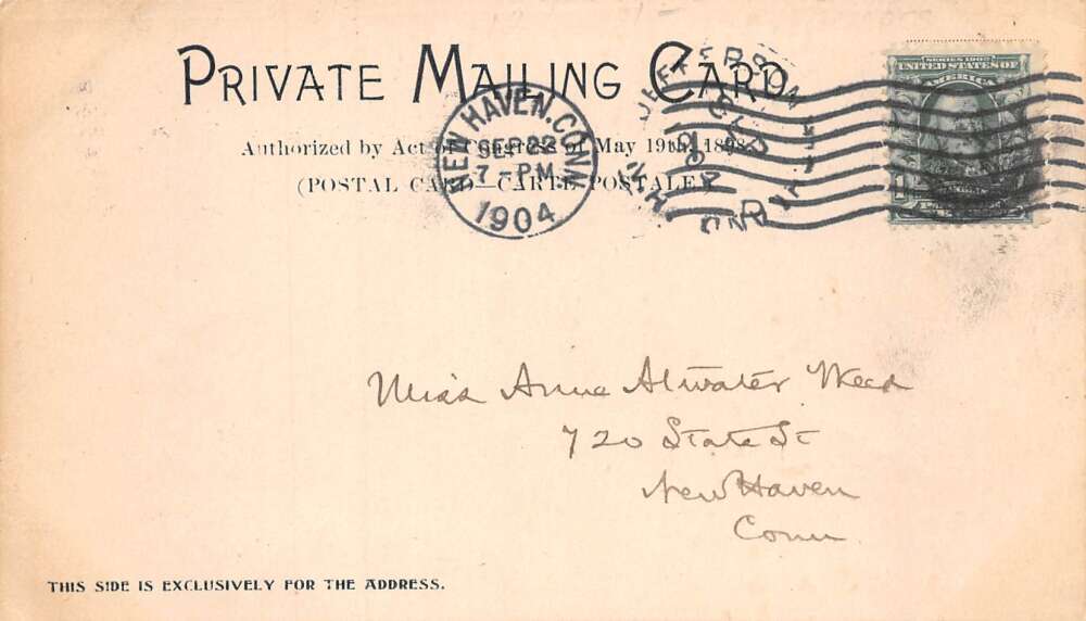 Jefferson New Hampshire Pine Grove near House Scenic View Postcard AA72793 - Image 2