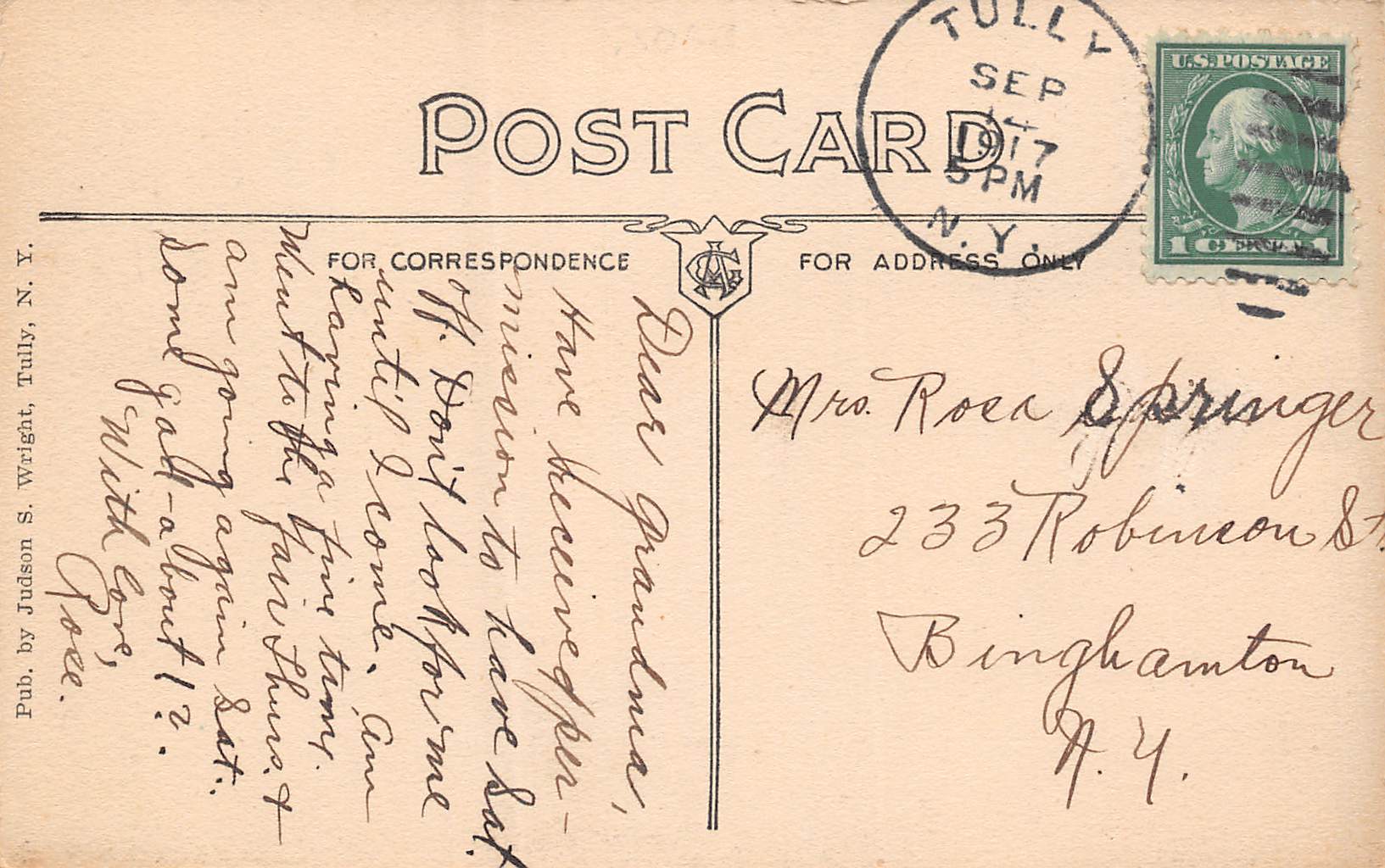 Tully New York Bird's Eye View Of Town, B/W Lithograph Vintage Postcard U12002 - Image 2