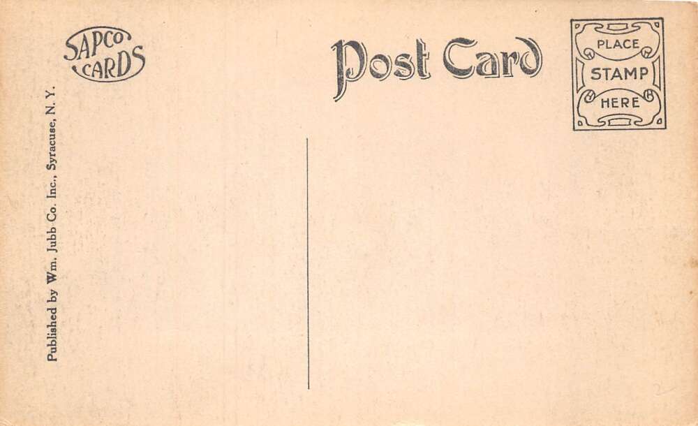 Sandy Creek New York High School Buildings, B/W Lithograph Vintage PC U12219 - Image 2