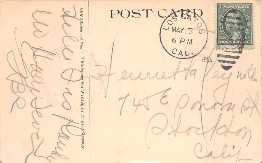 Los Gatos California Carnival Feast of Lanterns Vintage Postcard AA72985 - Image 2