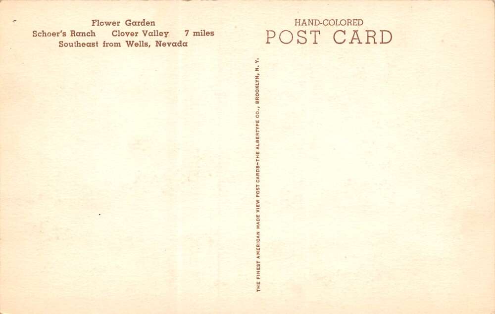 Wells Nevada Flower Garden, Schoer's Ranch, Clover Valley, Hand Colored PCU12518 - Image 2