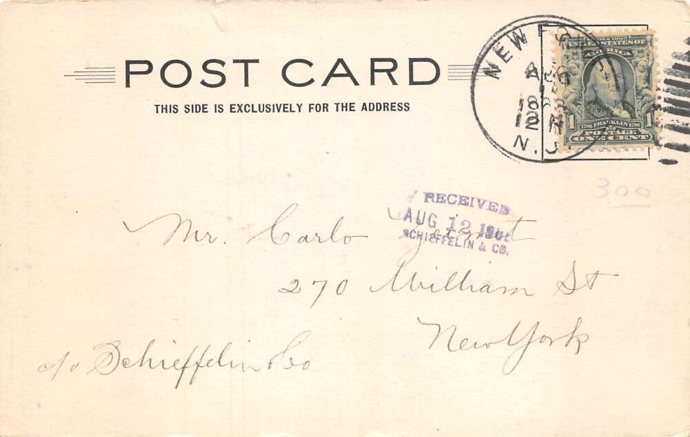 New Egypt New Jersey Wide Ocean Scenic View Vintage Postcard AA73248 - Image 2