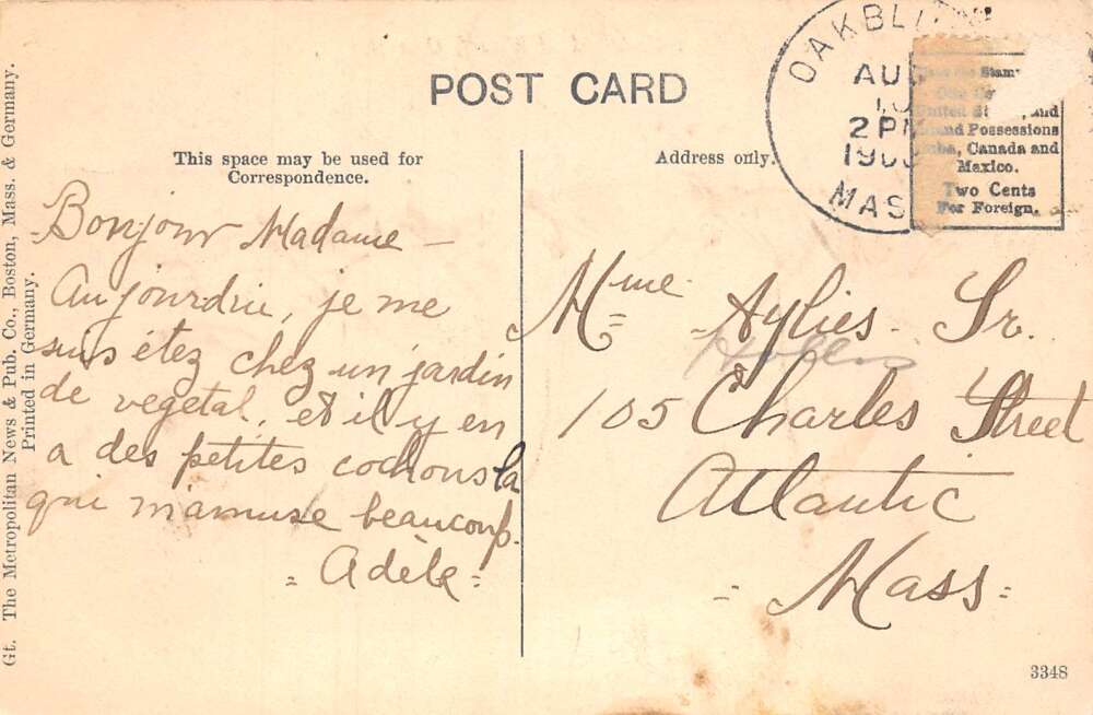 Oak Bluffs Massachusetts Steamers at Wharf Uncatina Marthas Vineyard PC AA73256 - Image 2