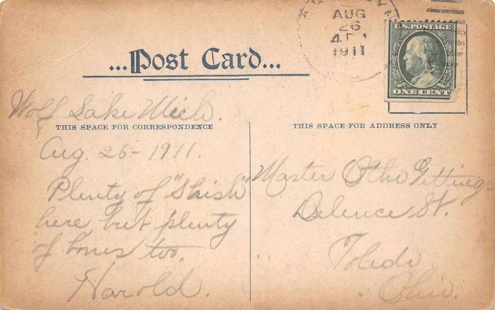 Wolf Lake Michigan ? Wolf Lake Landing Scenic View Vintage Postcard AA73278 - Image 2