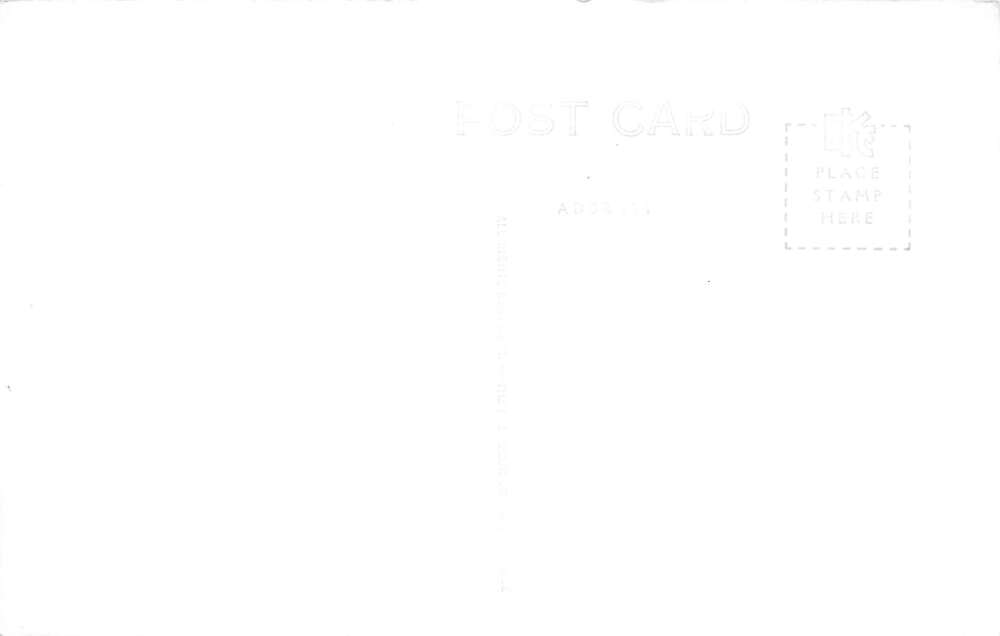 Whitehall Michigan Business District Street Scene Real Photo Postcard AA73340 - Image 2