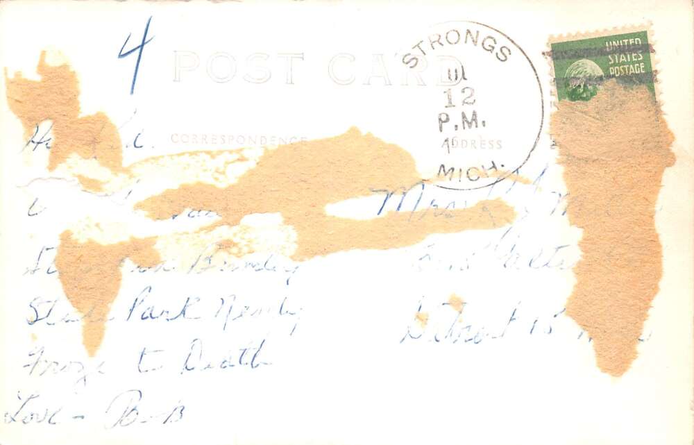 Strongs Michigan Street Scene Real Photo Vintage Postcard AA73347 - Image 2