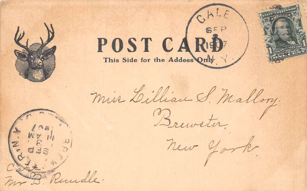 Gale New York Lake View House Adirondack Mts Vintage Postcard AA73416 - Image 2