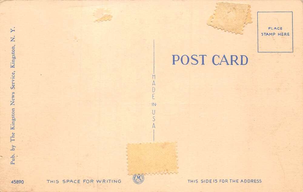 Rosendale New York Williams Lake Main Bldg Diving Tower Postcard AA73422 - Image 2