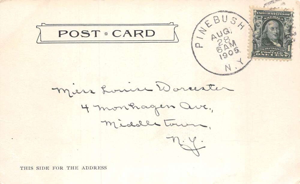 Pine Bush New York The Arch of Elms Scenic View Vintage Postcard AA73427 - Image 2