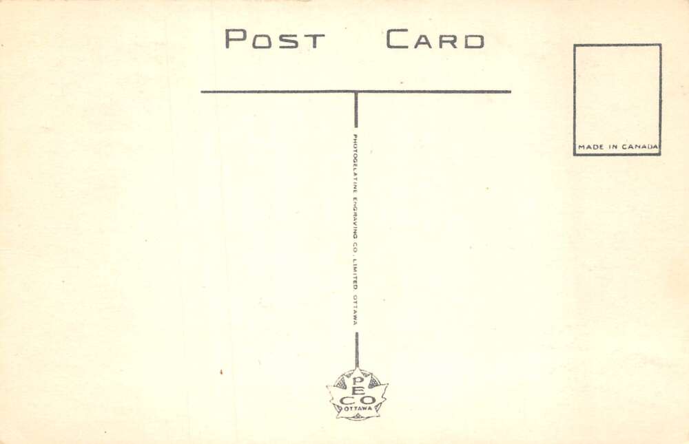 Paris Ontario Canada Childrens Parade at Braeside Camp Vintage Postcard AA73484 - Image 2