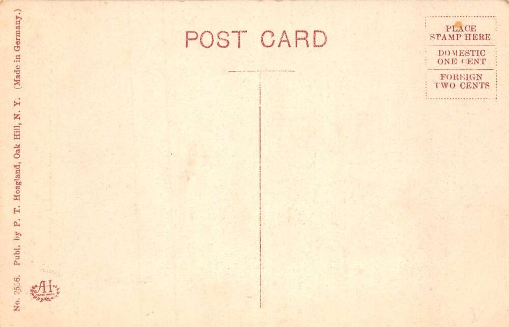 Preston Hollow New York WP Elsbree and Sons Store Vintage Postcard AA73498 - Image 2