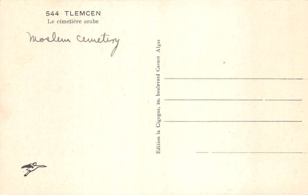 Tlemcen Algeria Cemetery Graveyard Real Photo Vintage Postcard AA73547 - Image 2