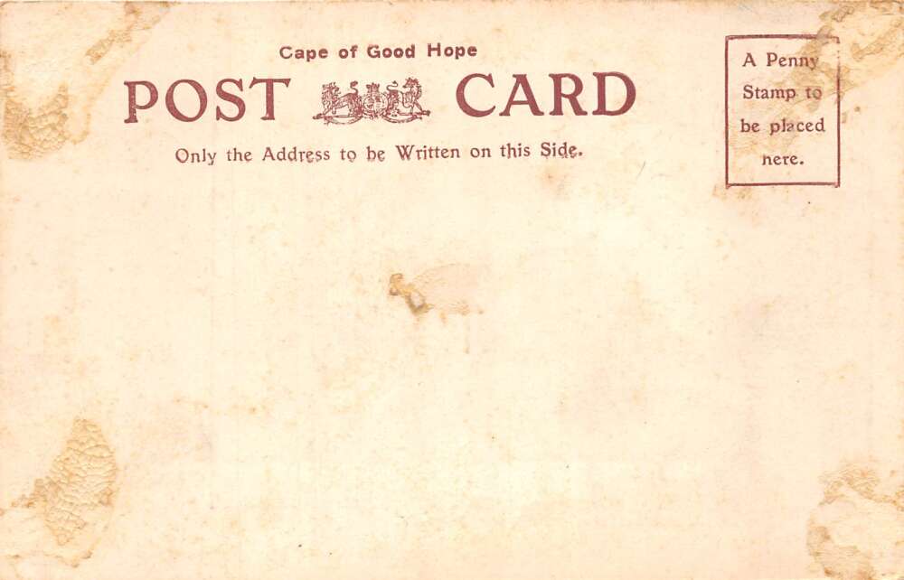 Kimberley South Africa Dutoitspan Road Street Scene Vintage Postcard AA73552 - Image 2