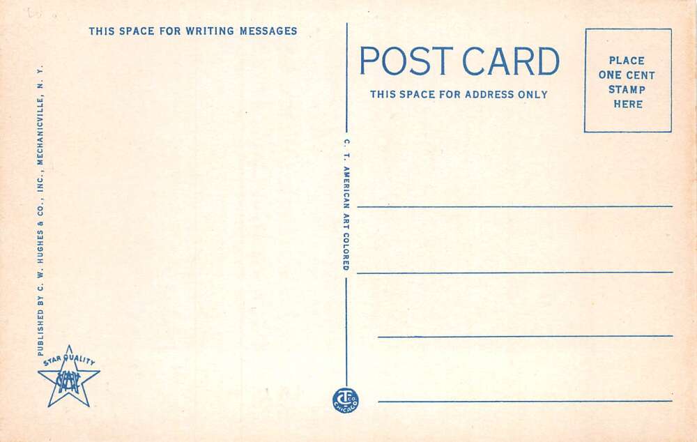 Brant Lake New York Adirondack Mts Palisades Hotel Aerial View Postcard AA73918 - Image 2