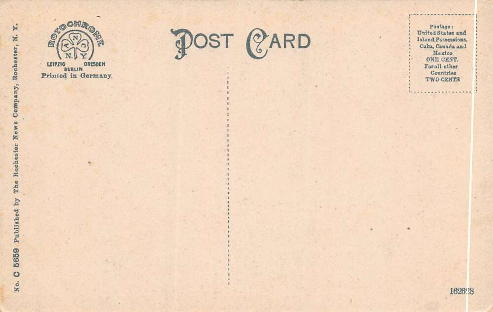 Clifton Springs New York Rustic Bridge, Sanitarium Park, Color Lithograph PCU12572 - Image 2