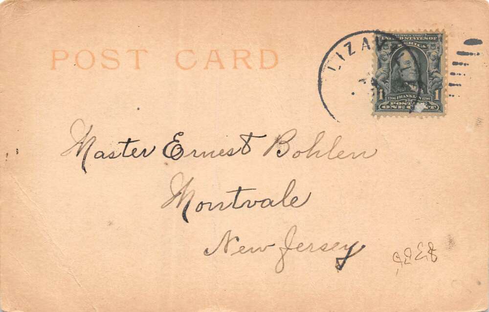 Elizaville New York Upper Lake, Undivided Back Vintage Postcard U12597 - Image 2