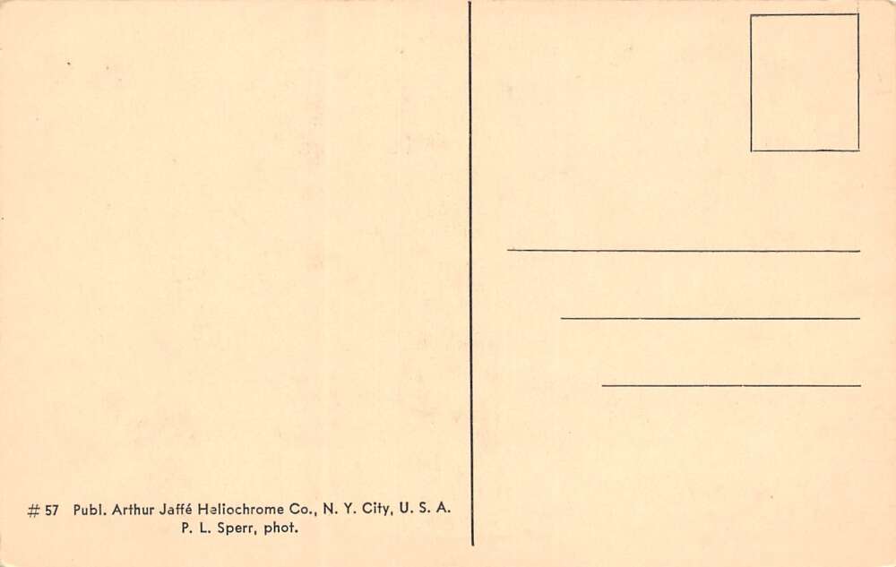 Brooklyn New York Grand Army Plaza, B/W Photo Print Vintage Postcard U12725 - Image 2