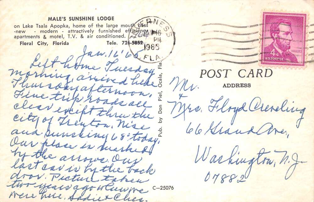 Floral City Florida Male's Sunshine Lodge Vintage Postcard AA74069 - Image 2