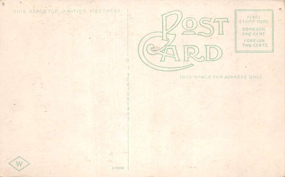 New Orleans Louisiana Typical Indian Fruit Stand Vintage Postcard AA74087 - Image 2