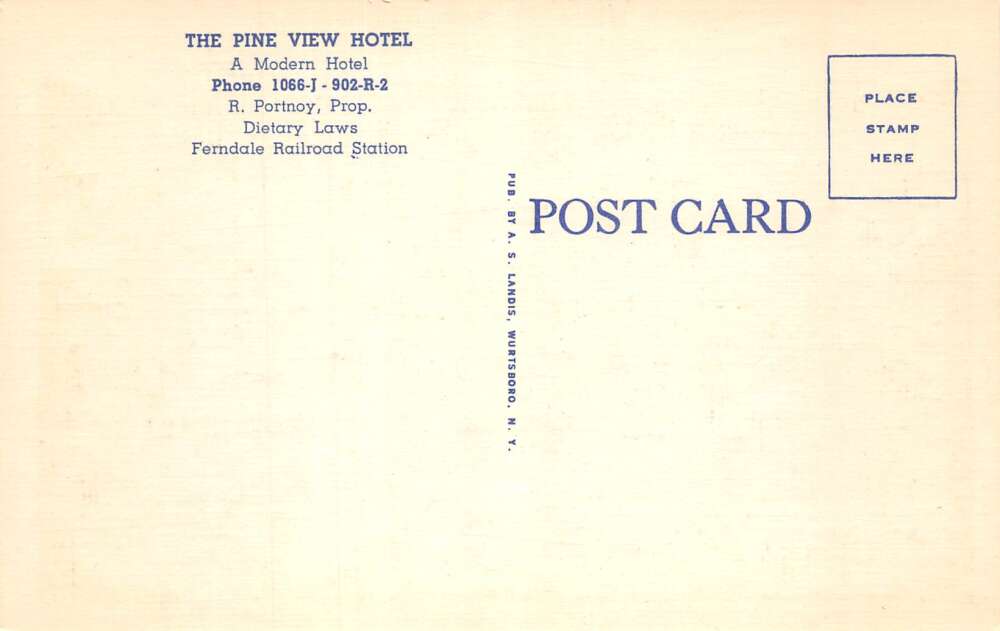 Swan Lake New York The Pine View Hotel Linen Vintage Postcard AA108532 - Image 2