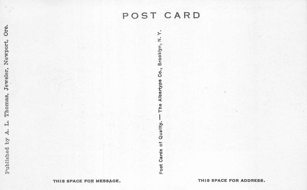 Newport Oregon The Wreck Jump off Joe Vintage Postcard AA108721 - Image 2