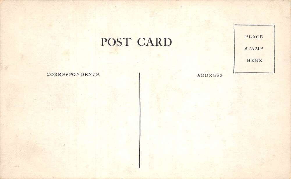 16th Governor Minnesota John A Johnson In Memory Of Vintage Postcard AA108907 - Image 2