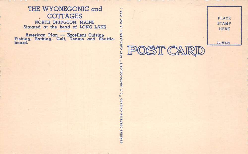 North Bridgton Maine Wyonegonic Beach and Cottages Real Photo Postcard AA108993 - Image 2